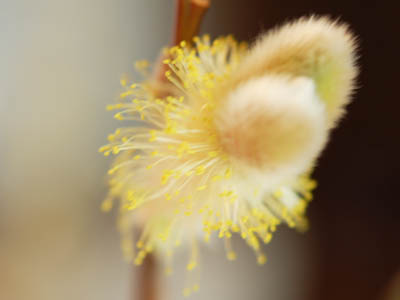 常設力。_a0026127_17303125.jpg