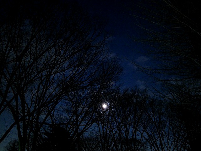 閉じ込める_c0102228_19544066.jpg