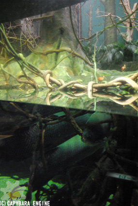 f0138828_22205254.jpg