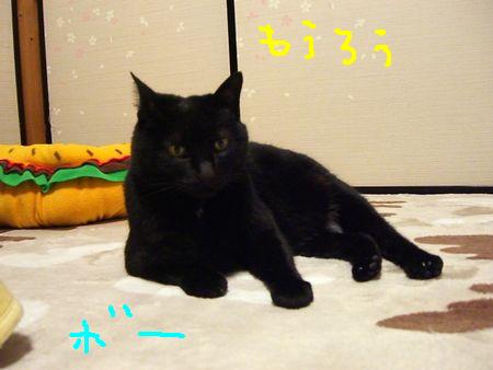 a0099131_025086.jpg