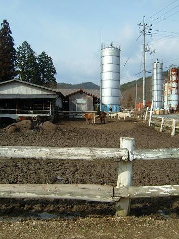 b0072234_07491.jpg