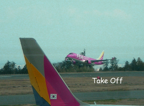 a0143435_20455471.gif