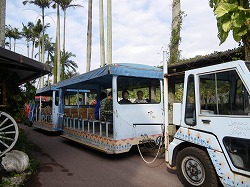 e0186942_14432871.jpg