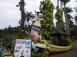 e0186942_1572941.jpg