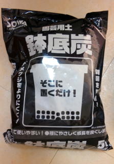 待合室にある観葉植物15年位経ってます!_f0209045_1191077.jpg
