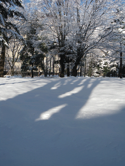 c0093046_19435834.gif