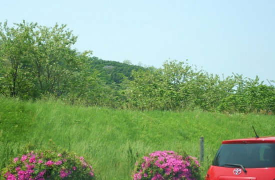e0126350_214249.jpg