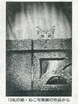 「13名の 猫・ねこ 写真展」が読売新聞で紹介されました Art Gallery 山手_f0117059_21544855.jpg