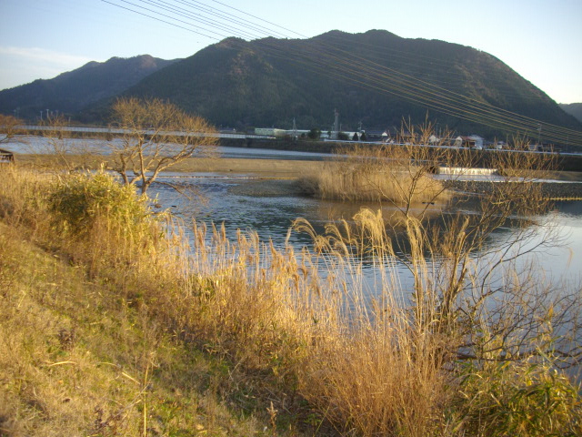 コース変え・・で河川公園ウオーキング_f0113862_2043695.jpg