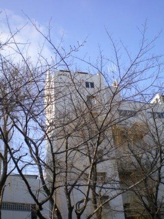 大変な一日に。_c0198869_23154723.jpg