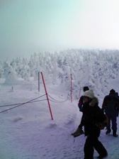 c0102375_41694.jpg