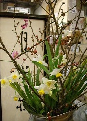 春の香り_e0045977_20321798.jpg
