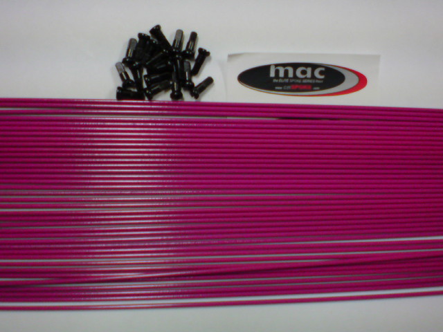 c0126791_2046084.jpg