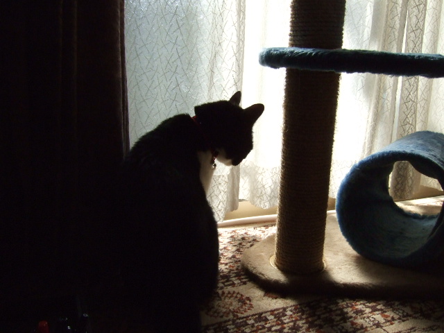 c0150193_156739.jpg