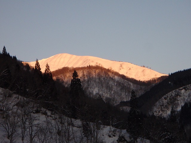 野伏ケ岳　BC　2010.1.27　当った(^^)v_c0147398_0472347.jpg