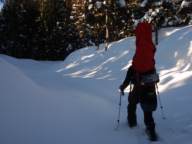 野伏ケ岳 BC 2010.1.27 当った(^^)v_c0147398_04964.jpg