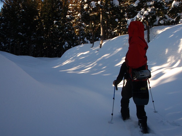 野伏ケ岳　BC　2010.1.27　当った(^^)v_c0147398_04964.jpg