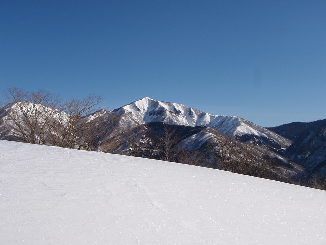 野伏ケ岳 BC 2010.1.27 当った(^^)v_c0147398_050160.jpg