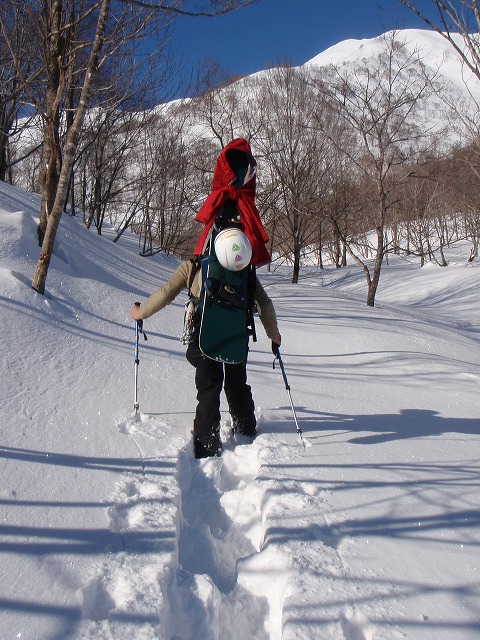 野伏ケ岳　BC　2010.1.27　当った(^^)v_c0147398_0502172.jpg