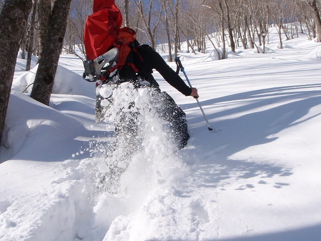 野伏ケ岳　BC　2010.1.27　当った(^^)v_c0147398_0504211.jpg