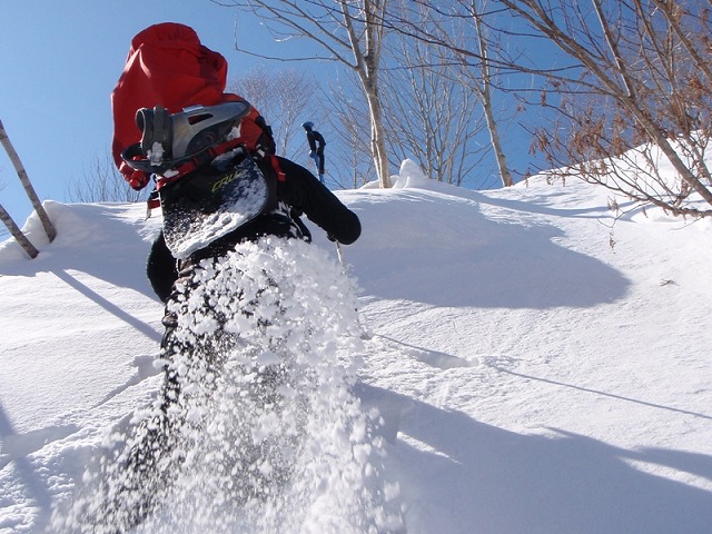 野伏ケ岳 BC 2010.1.27 当った(^^)v_c0147398_0505128.jpg