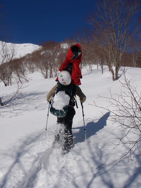 野伏ケ岳　BC　2010.1.27　当った(^^)v_c0147398_051549.jpg