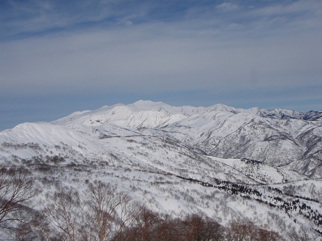 野伏ケ岳 BC 2010.1.27 当った(^^)v_c0147398_0532216.jpg