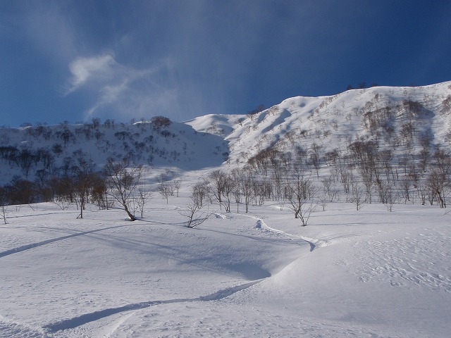 野伏ケ岳　BC　2010.1.27　当った(^^)v_c0147398_0535795.jpg