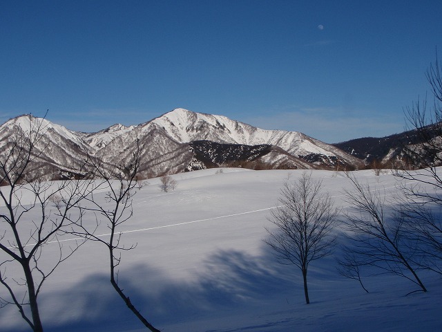 野伏ケ岳　BC　2010.1.27　当った(^^)v_c0147398_0543573.jpg