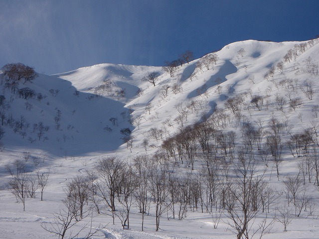 野伏ケ岳　BC　2010.1.27　当った(^^)v_c0147398_054744.jpg