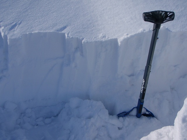 野伏ケ岳 BC 2010.1.27 当った(^^)v_c0147398_14019.jpg