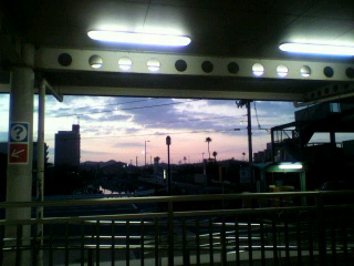 a0080002_18469.jpg