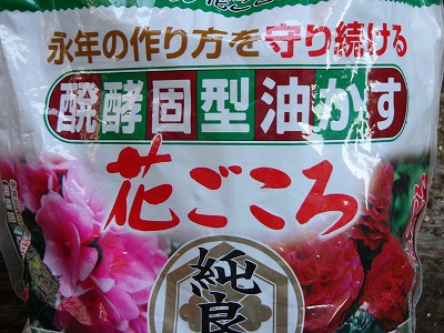 a0123003_2055130.jpg