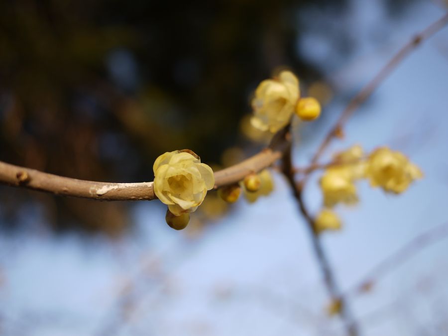 c0187503_21301399.jpg