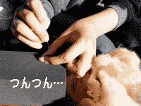 a0158406_18452524.gif