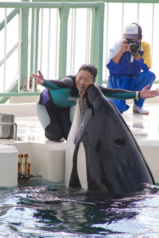 鴨川シーワールドその３ シャチ後編 みちのり