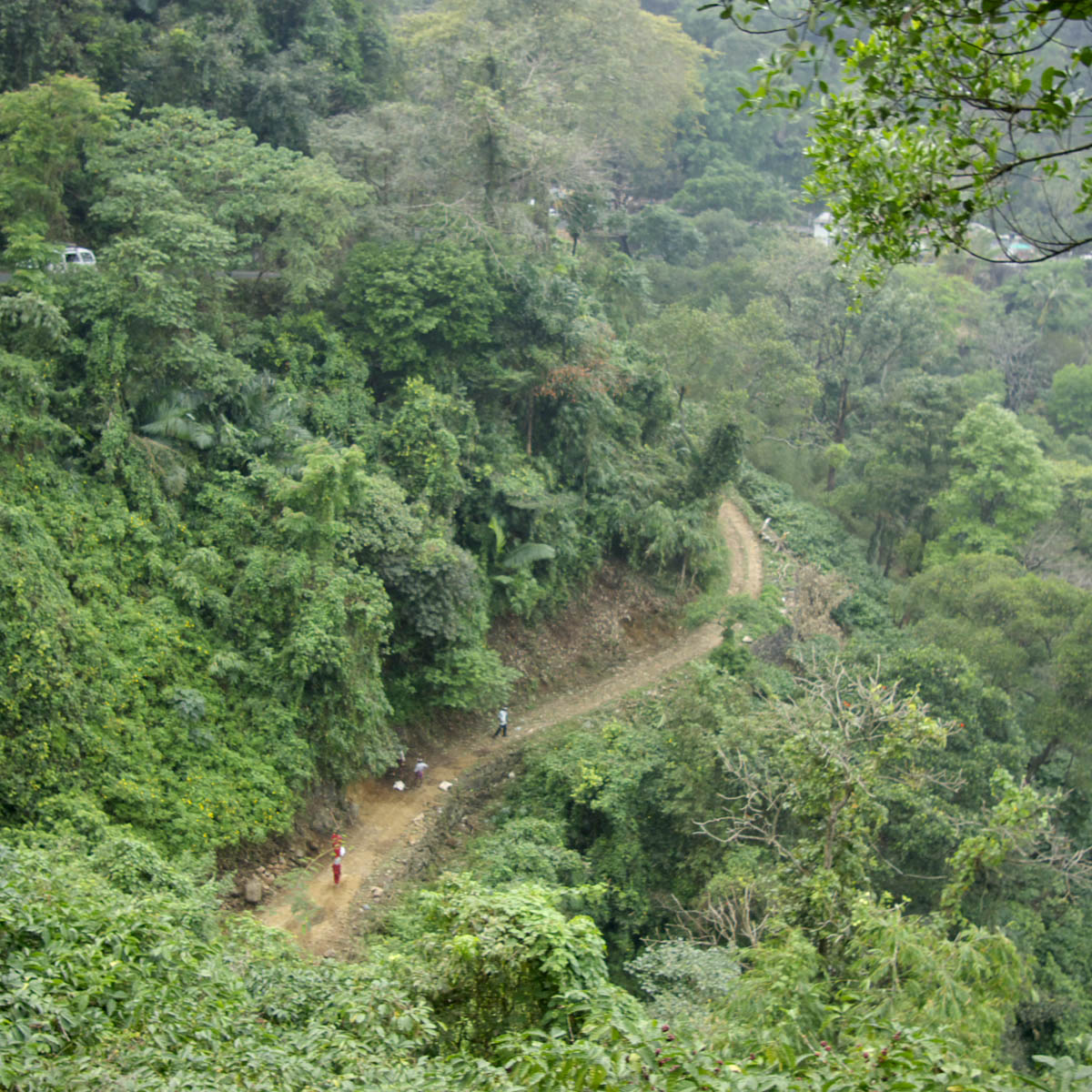e0142611_10530.jpg
