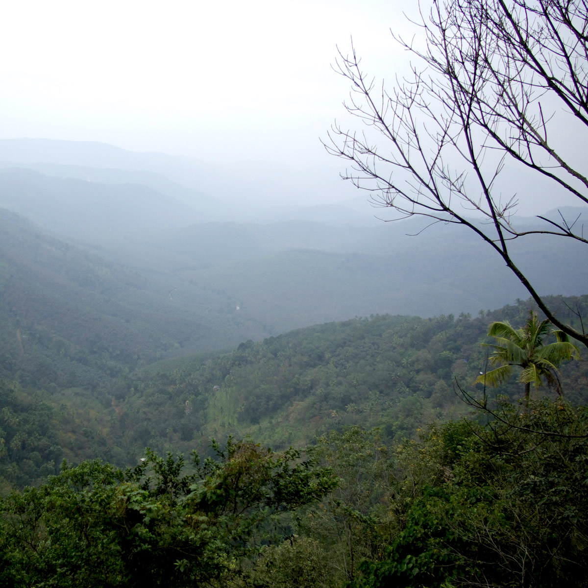 e0142611_111927.jpg