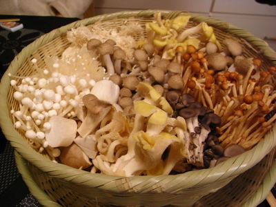 e0092221_1905629.jpg