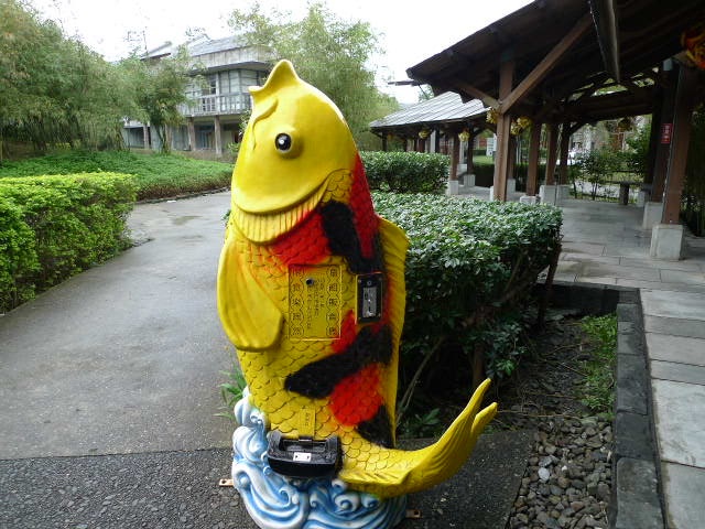 BMC Developmental Biology掲載&台湾画像_d0028322_0101165.jpg