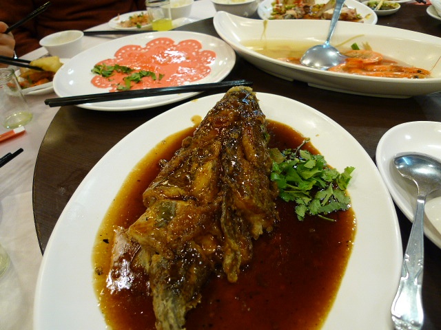 BMC Developmental Biology掲載&台湾画像_d0028322_0193417.jpg