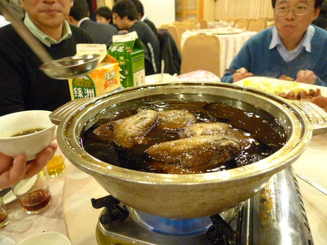 BMC Developmental Biology掲載&台湾画像_d0028322_0231619.jpg