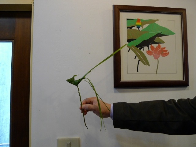 BMC Developmental Biology掲載&台湾画像_d0028322_09121.jpg
