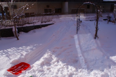f0170524_1375922.jpg