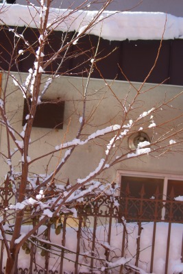 f0170524_1392988.jpg