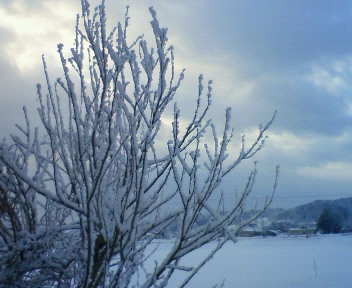 f0085327_21535237.jpg