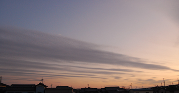e0068732_2314151.jpg