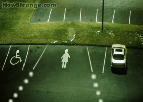 c0001339_2030396.gif