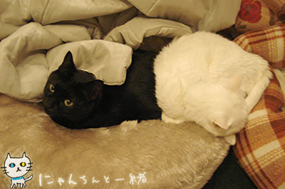 もう、黒い悪魔ちゃんに戻りました。_e0031853_12125526.jpg