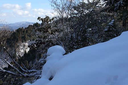 ブナ原生林の雪面に伸びる影_e0113053_23254166.jpg